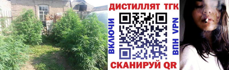Дистиллят ТГК THC oil  дарк нет клад  Наволоки 
