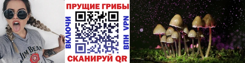 Псилоцибиновые грибы мухоморы  мега маркетплейс  Наволоки  купить наркотики сайты 